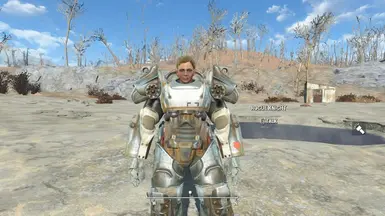 Amoral Combat Challenger - Rogue Knight - Female