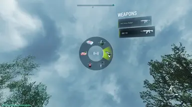 Weapon UI - Before