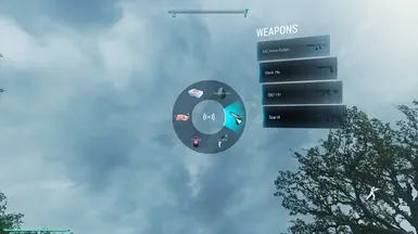 Weapon UI v0.25
