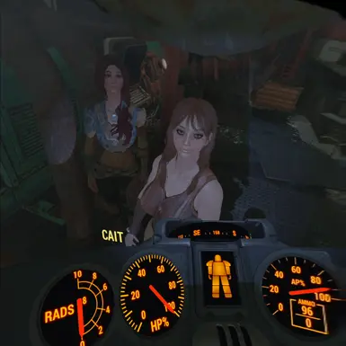 she looks great in fo4VR