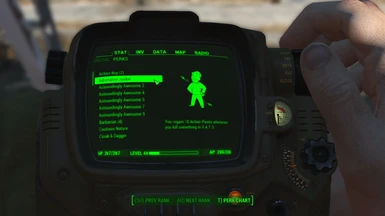 Perks in the Pip-Boy