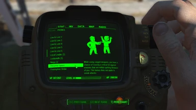 Perks in the Pip-Boy