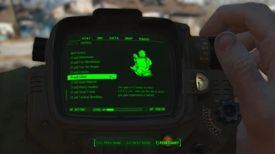 Traits in the Pip-Boy