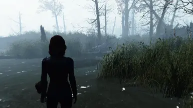 Far Harbor