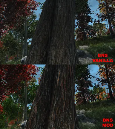 BNS example