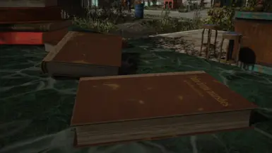 Update 2.0 Overdue book