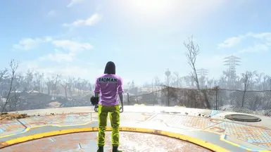 A Badman in the Wasteland