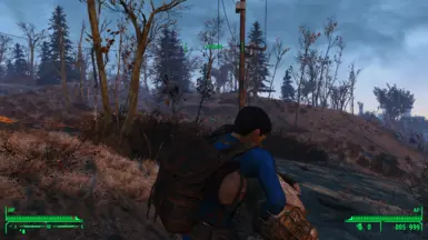 Third-Person Unarmed Animations!