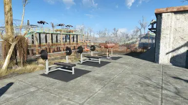 In the GH Version, the excersize equipment is here.