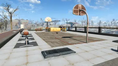 Shoot some hoops?