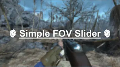 Simple FOV Slider