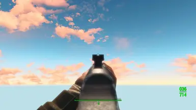 Iron sights