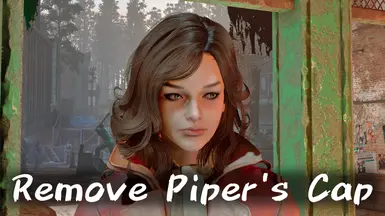 Use with Wasteland Heroines Replacer