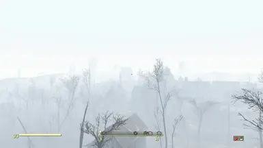 Vanilla Foggy