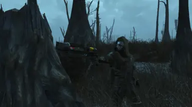forest scout