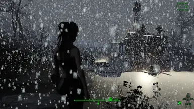 winter and snow