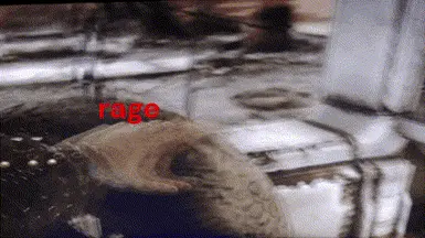 upcomingRAGE 
