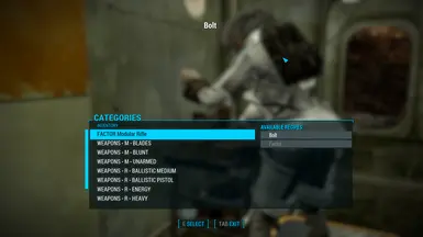 New Category Name