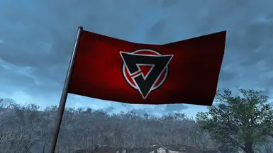 Regular flag