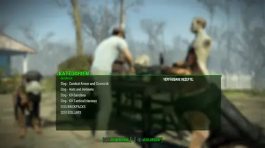 Dogmeat Backpacks RB and Dog Hats sorted 