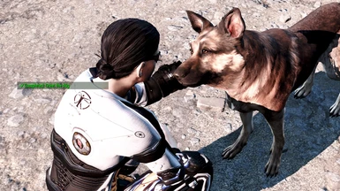 Found Dogmeat at Red Rocket Station :D.