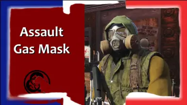 Assault Gas Mask Replacer - FR