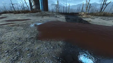 Bloody Puddle Before