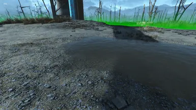 Bloody Puddle After