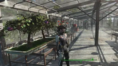 Graygarden - Planter beds