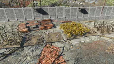 Taffington Boathouse Stage 2 Garden Plots