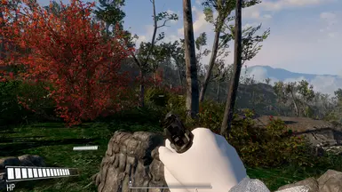 fps