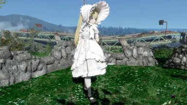 Wasteland Tea party Fusion Girl Conversion