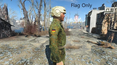 Flag Only