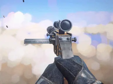 Working fine with VWR mod - short mag.