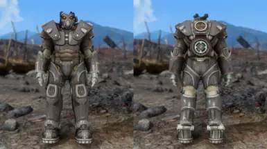 Remnants Skin