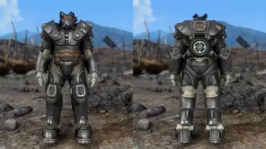 Enclave Skin