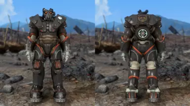 Brotherhood of Steel Skin