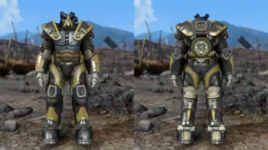 Prototype Skin