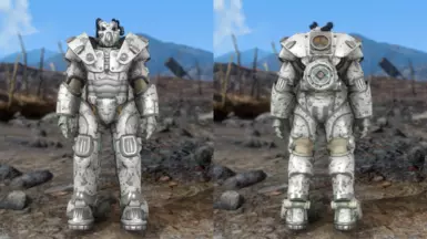 Winter Camo Skin