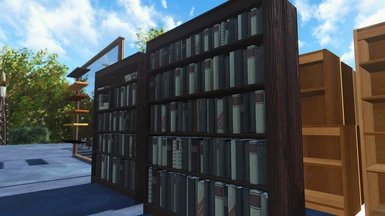 filled bookcases