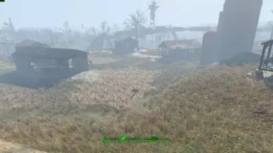 (RAC) Rebuild and Cleaned Sunshine Tidings