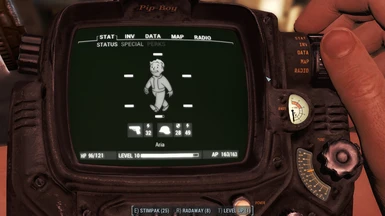 Pipboy Doubled