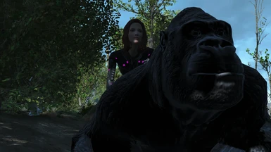 gorilla rider zoom
