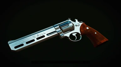 Stainless Steel .44 and Western Revolvers Retexture