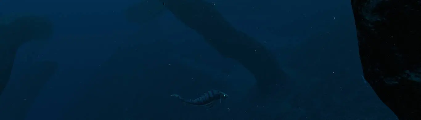 Subnautica - How to Scan A Reaper Safely 