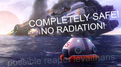 No Radiation Leak