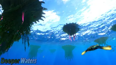 The Floating Forest