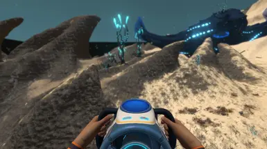 Pacific Zone