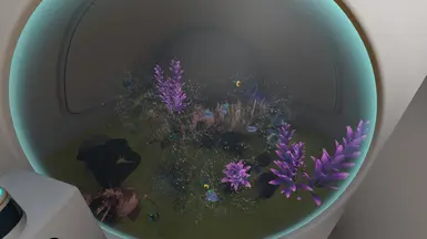 Holds up to 32 fish