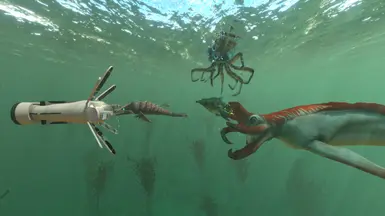 Blossom Submarine